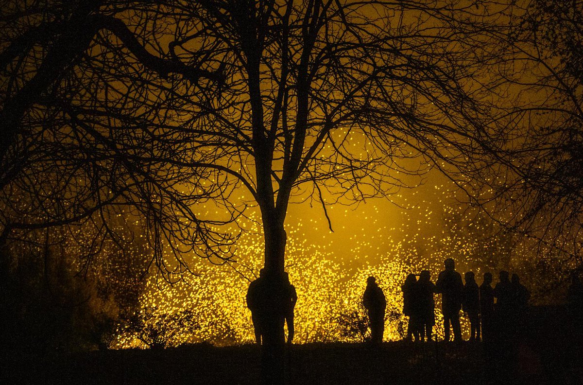 Oggi in 3 ore le lucciole hanno incantato 8.267 persone. A domani 
#pesaro2024 #lanaturadellacultura