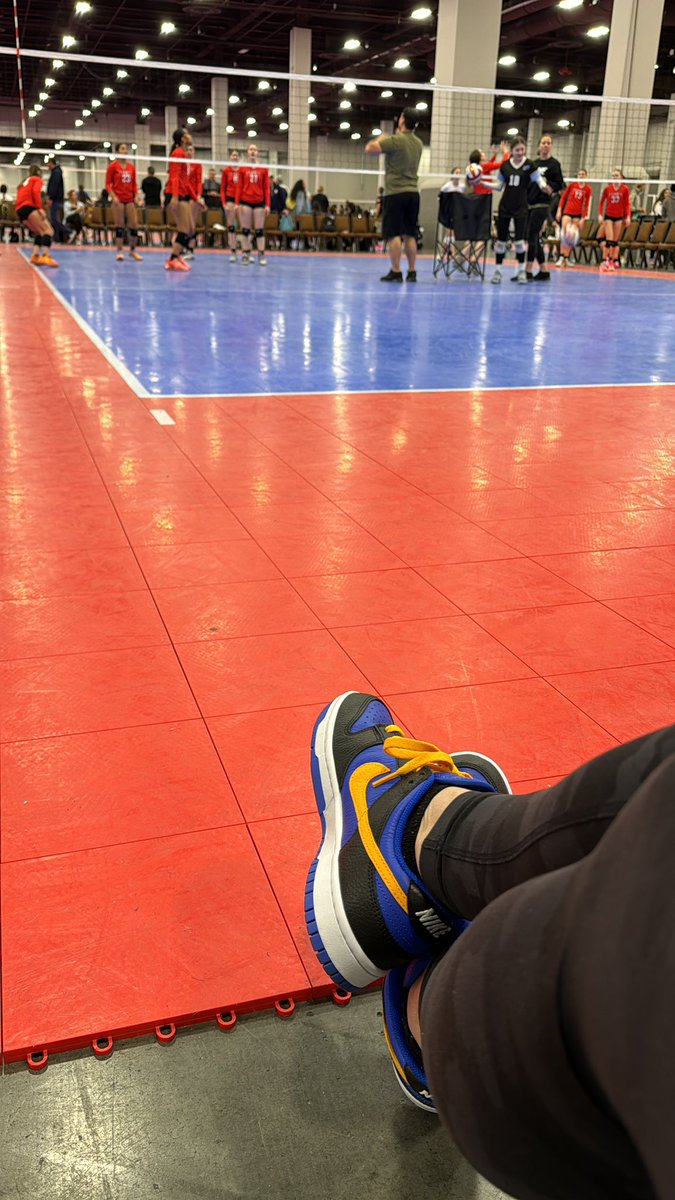 Laura Tremaine tweet media