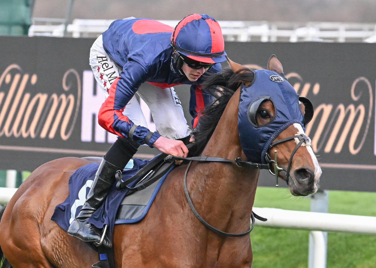 Destinado makes it a winning start to our turf season as he records his 5th success this year at Doncaster under jockey Sean D Bowen for trainer James Owen. Huge congratulations to his owners 🏆

#DevaRacing
