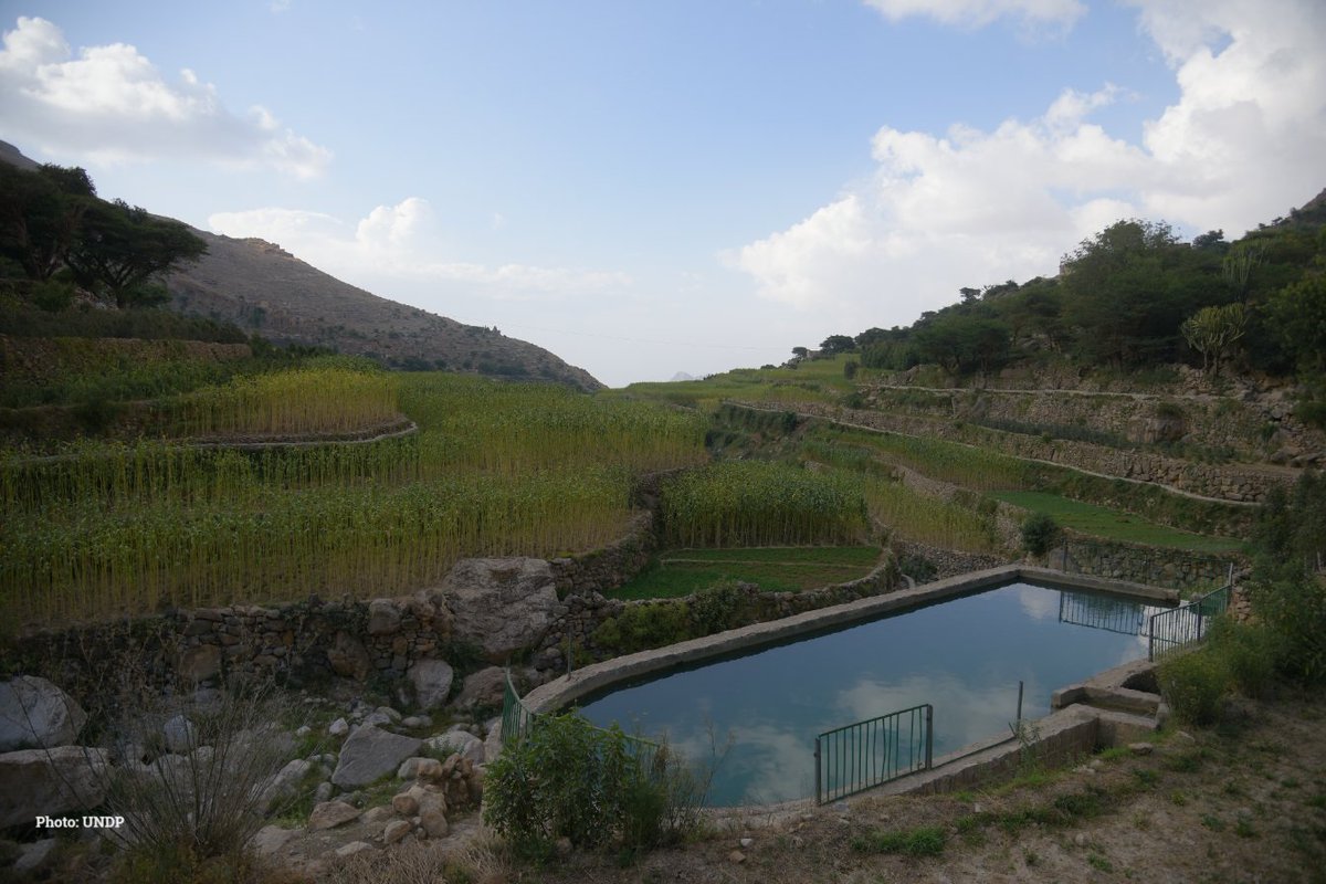 يعطي شركاء العمل الإنساني في مجال #المياه الأولوية للحلول المستدامة في الاستجابة لأزمة #المياه في #اليمن:
🚰 بناء وإعادة تأهيل أنظمة المياه
 💧 إنشاء أنظمة تجميع مياه الأمطار
 💧 رفع مستوى الوعي حول الاستخدام المستدام
 💧  تزويد أنظمة المياه بالطاقة الشمسية

#اليوم_العالمي_للمياه