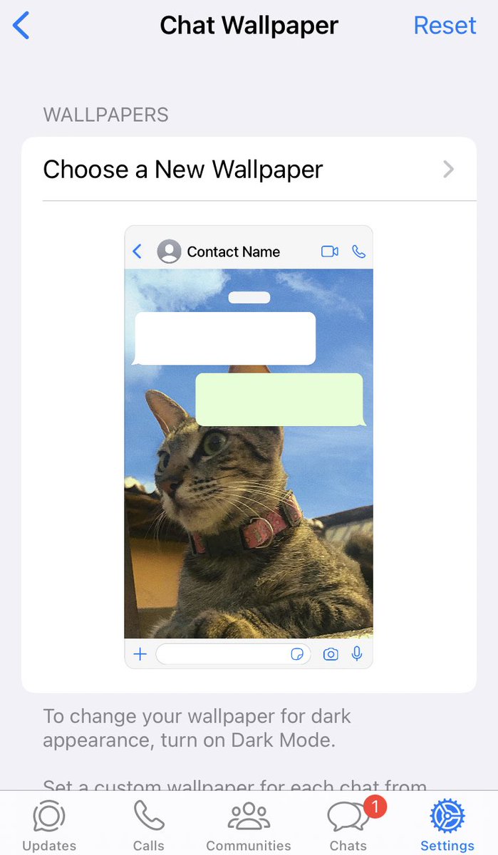 sofiscarsons's tweet image. amigariam comigo de acordo com o meu whatsapp?