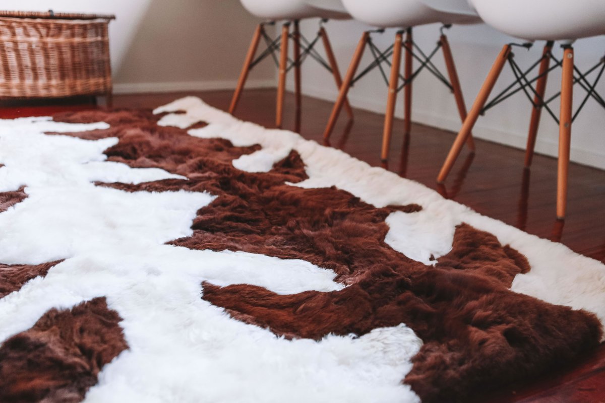 Wilderr 💙🫵 tweet media