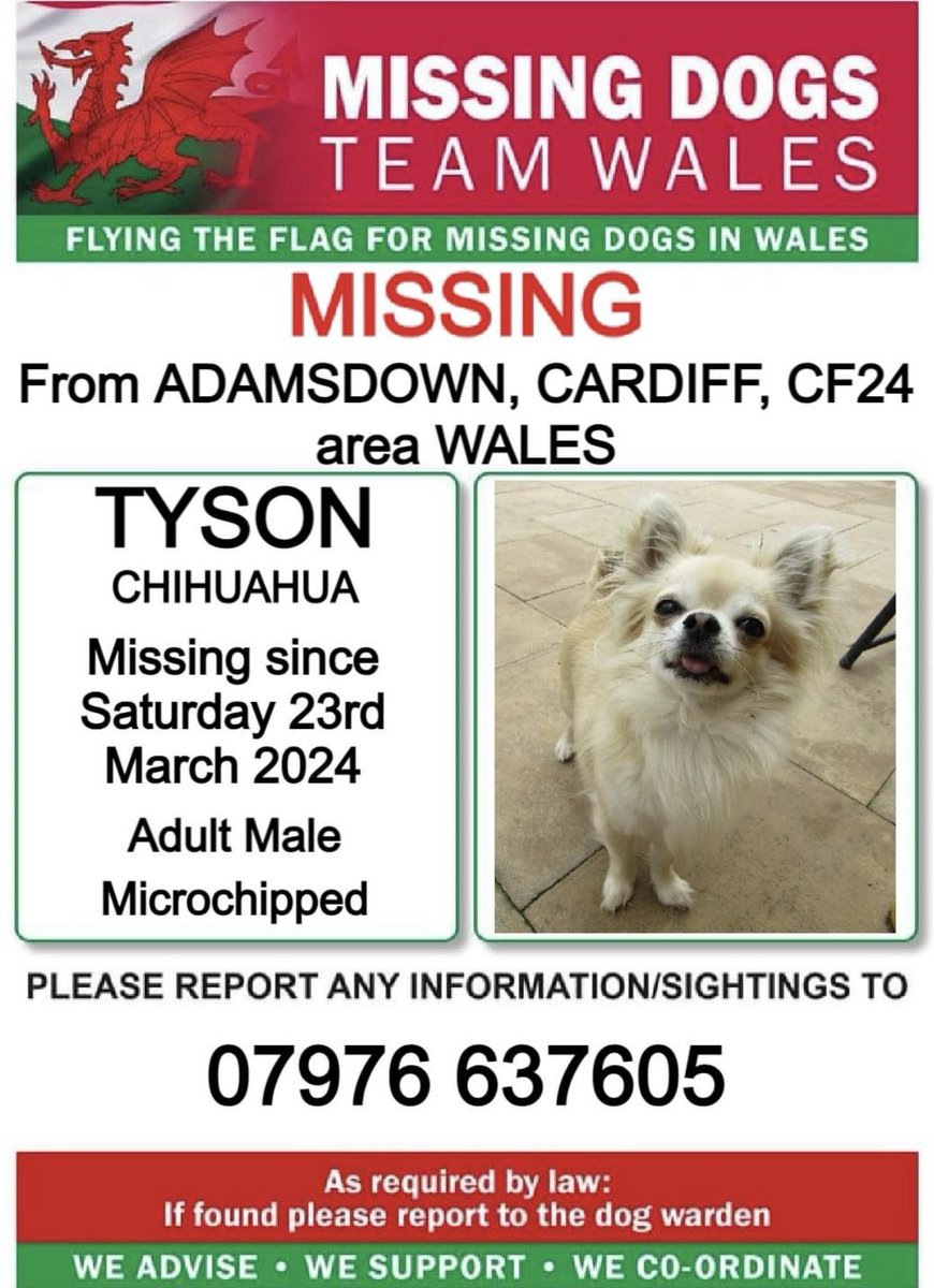 ❗❗TYSON, Missing FROM #ADAMSDOWN, #CARDIFF, #CF24 area #WALES ❗❗ ❗SINCE SATURDAY 23rd MARCH 2024. ❗❗PLEASE LOOK OUT FOR TYSON AND CALL NUMBER WITH ANY SIGHTINGS/INFORMATION ❗