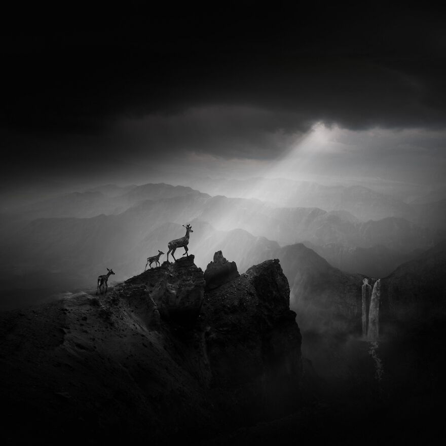 Evening 🦌 

via @raafat_saleh RT <a href="/Mj_Pettengill/">Mj Pettengill</a>