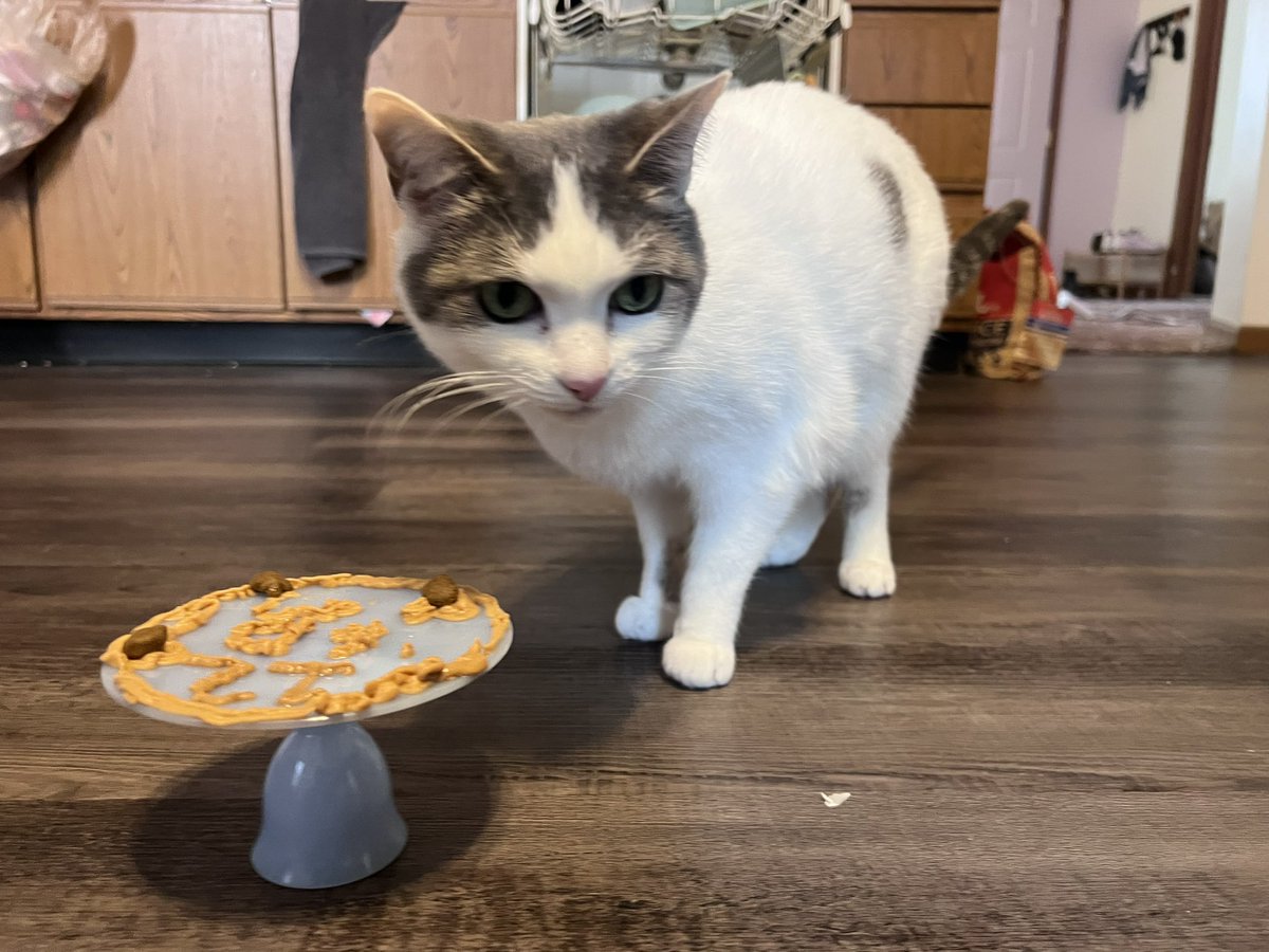 Moe Mijjum tweet media