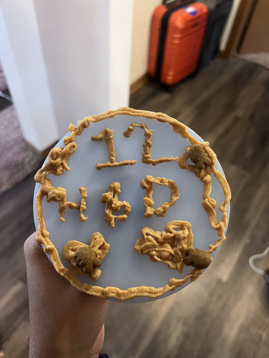 Moe Mijjum tweet media