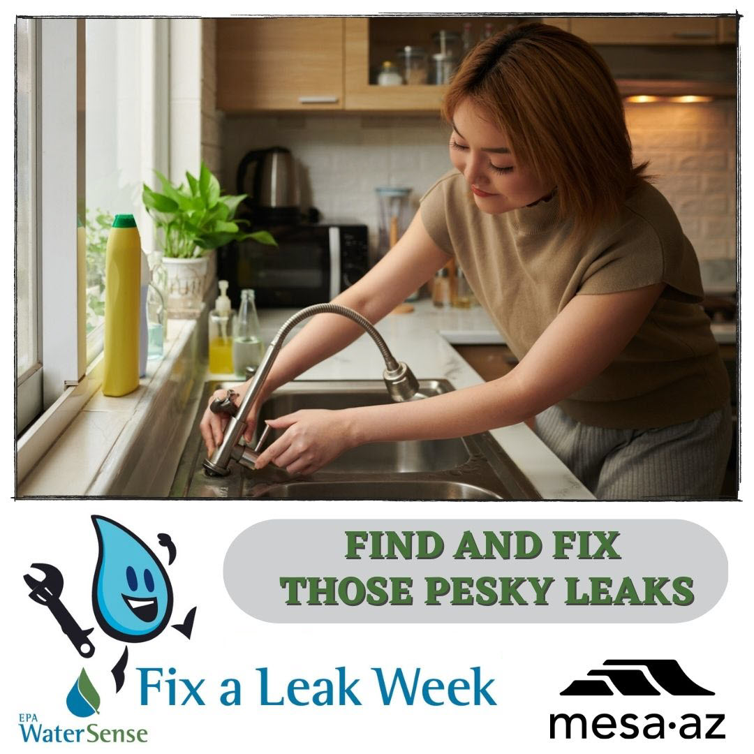 🔎 DYK that easy-to-fix leaks account for 10,000 gallons of wasted water each year in the average home? Take the 10-minute @EPAwatersense Challenge to detect and chase down leaks and get a handle on water waste. Learn more at my.mesaaz.gov/406SW7G. #FixaLeakWeek #WaterWiseMesa