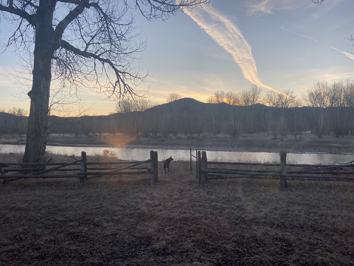 Kyle Squires (@turfgrassfed) on Twitter photo 