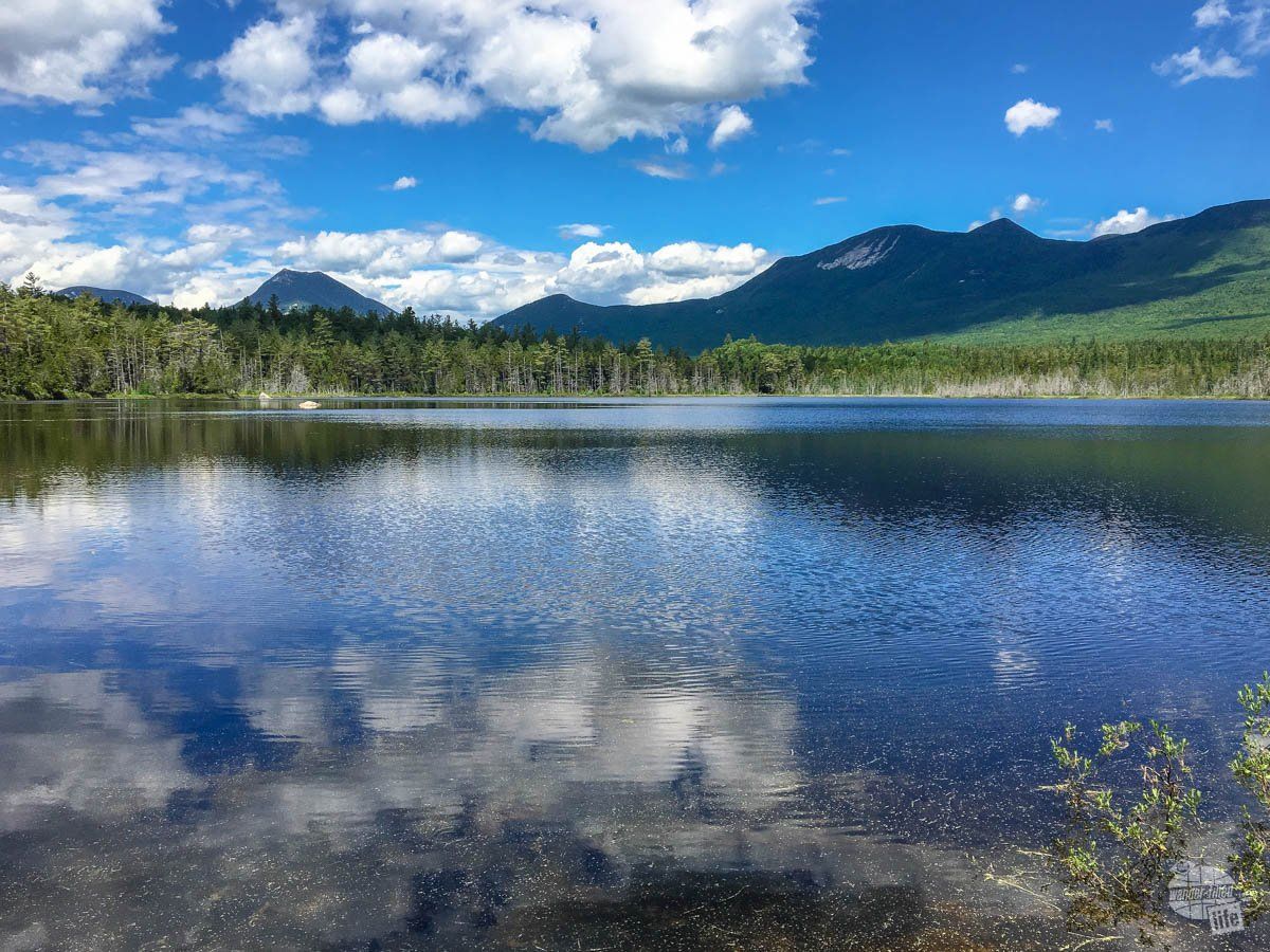 wander_filled's tweet image. Looking for a state park with amazing views and tremendous hikes? Look no further than Baxter State Park in Maine. Home to Mt. Katahdin, the terminus of the Appalachian Trail, this park is a great place to see moose!

#MaineThing

buff.ly/3M3nroW