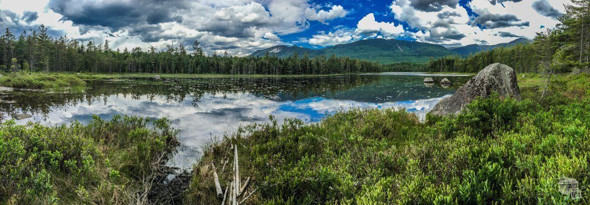 wander_filled's tweet image. Looking for a state park with amazing views and tremendous hikes? Look no further than Baxter State Park in Maine. Home to Mt. Katahdin, the terminus of the Appalachian Trail, this park is a great place to see moose!

#MaineThing

buff.ly/3M3nroW