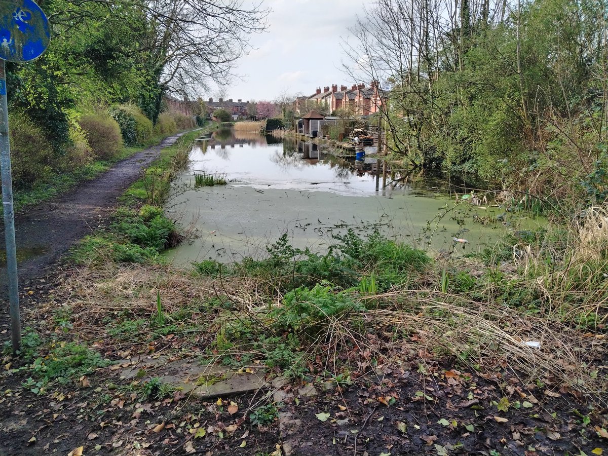 Found the end of the canal today.