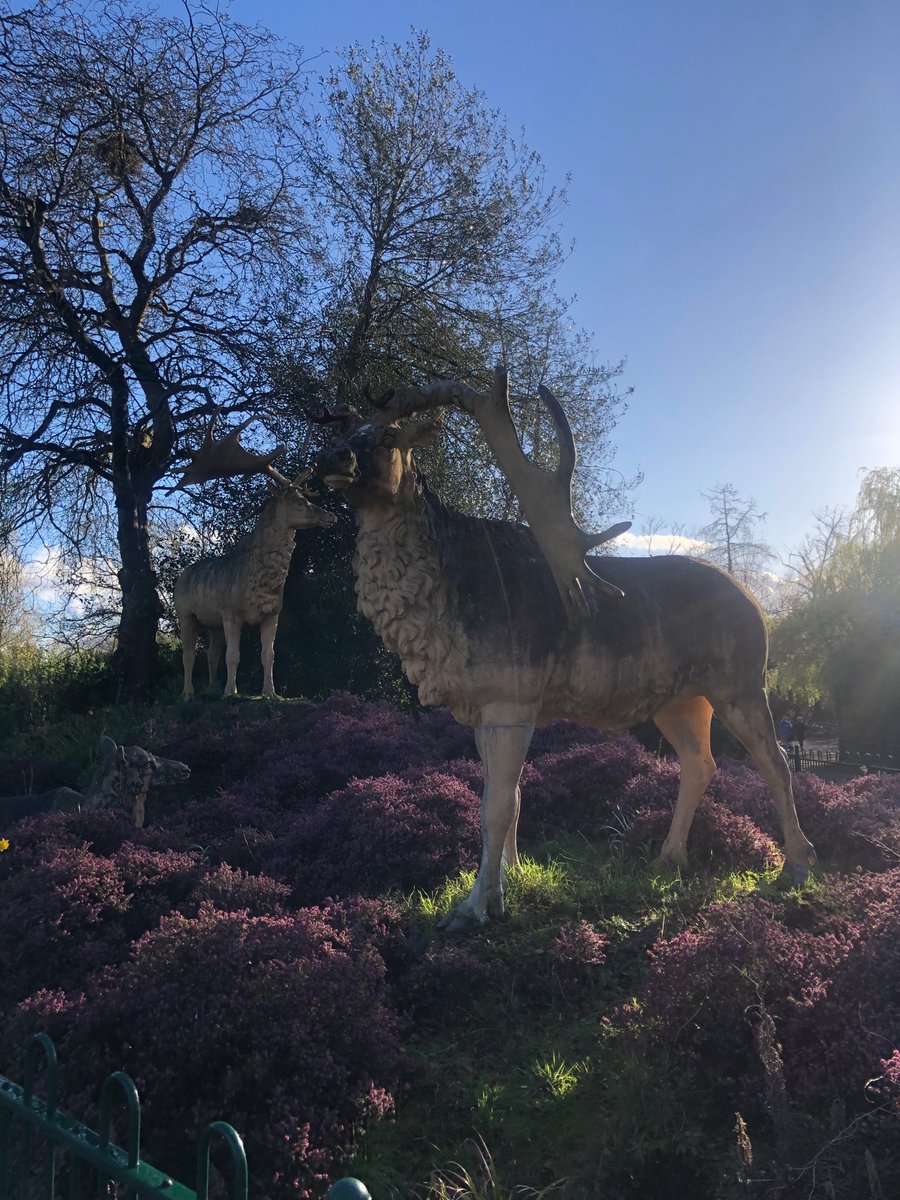 bensang_'s tweet image. 