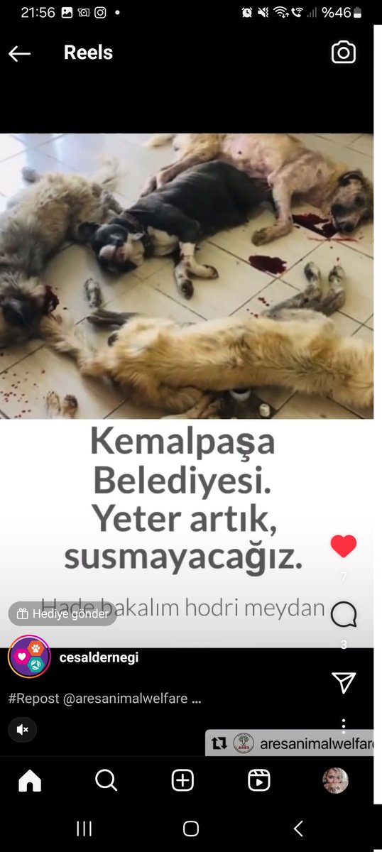 Yeter artik katiller en Sevdiklerinizle sınanin <a href="/izmirbld/">İzmir Büyükşehir Belediyesi</a> <a href="/izmirvaliligi/">T.C. İzmir Valiliği</a> <a href="/izmirCHPdir/">İzmir CHP'dir</a>