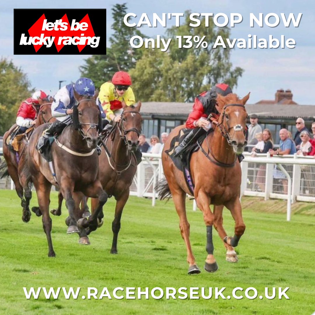 CAN'T STOP NOW is the 6-year-old son of Starspangledbanner. He has already won more than 34k and is a proven performer.⭐ In training with @jardineracing. Ownership shares are very limited and available from @LBL_racing. racehorseuk.co.uk/horse-detail/?… #HorseRacing #racehorse