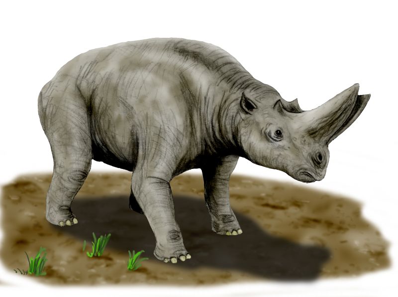 Media image