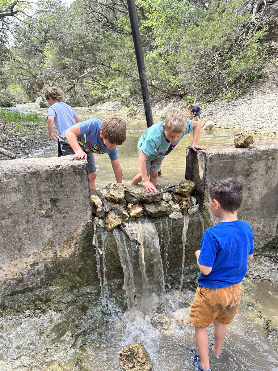 They’re little beavers. If they hear running water they start plugging it with rocks, sticks and mud 😆