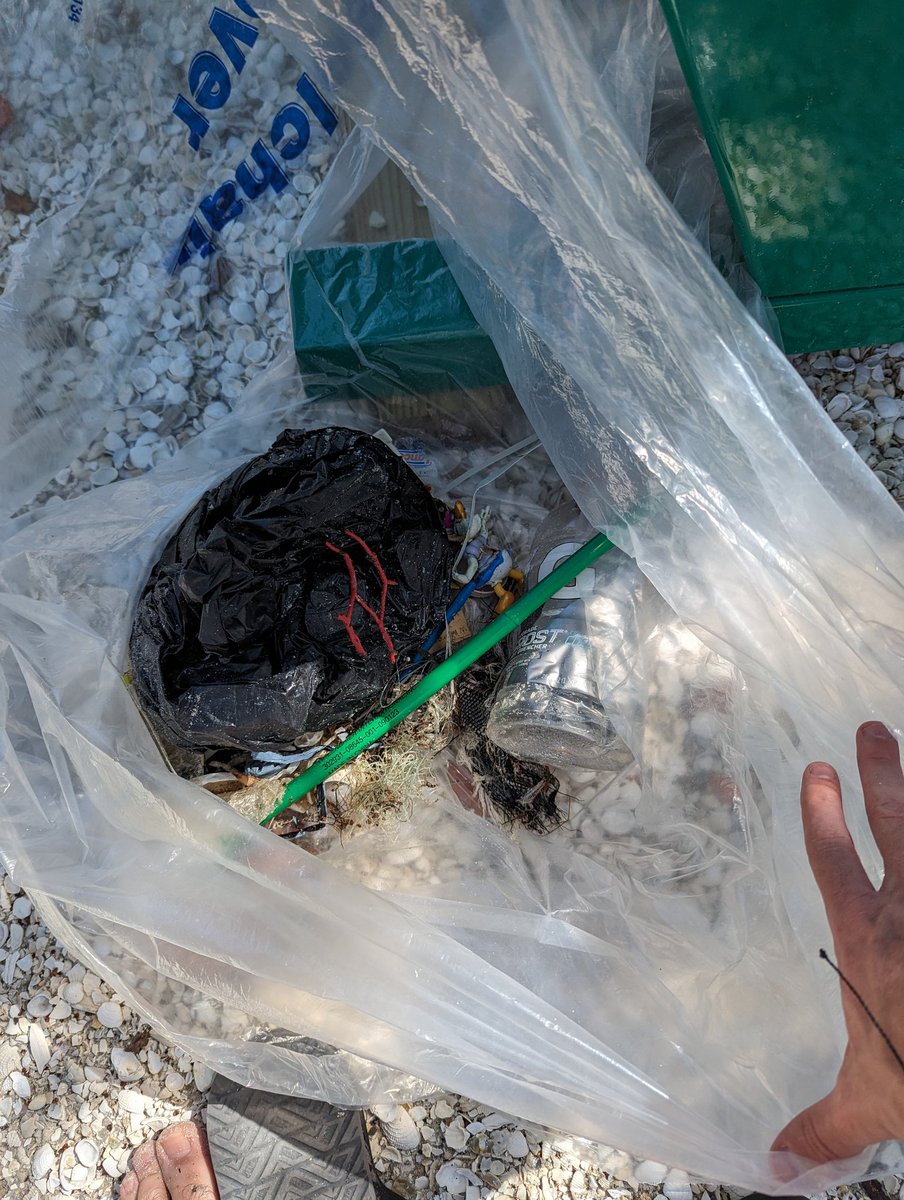 crferrie's tweet image. Spent the afternoon cleaning up parts of Sanibel Beach with friends and family! It&apos;s amazing how much trash can be picked up after a good storm! #B3TR #sustainableactions #vechain