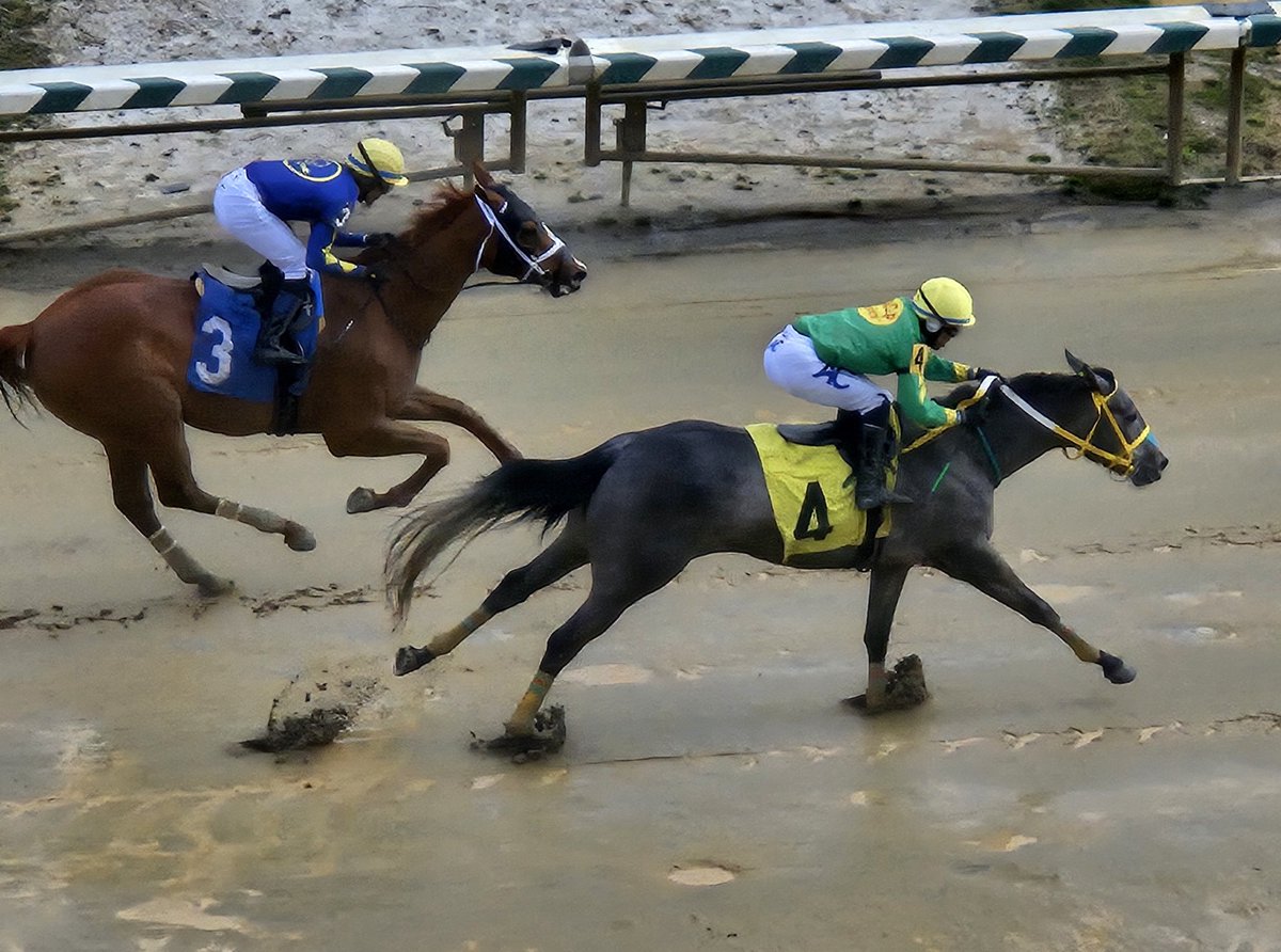 Bandbox filly out of a Super Saver mare on the slop? Yes, please! Super Simplify and @ACruzz01 win at first asking @LaurelPark for Carlos Mancilla. Lottie Deno and @JevianToledo finish 2nd