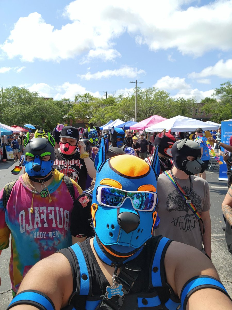 Kori_Cryobite's tweet photo. Happy #TampaPride everyone. This pup is enjoying and ready to walk in the parade for the first time.

#pup #pupplay #pupcommunity #pride #tampapride24 https://t.co/DAnh4ber7y