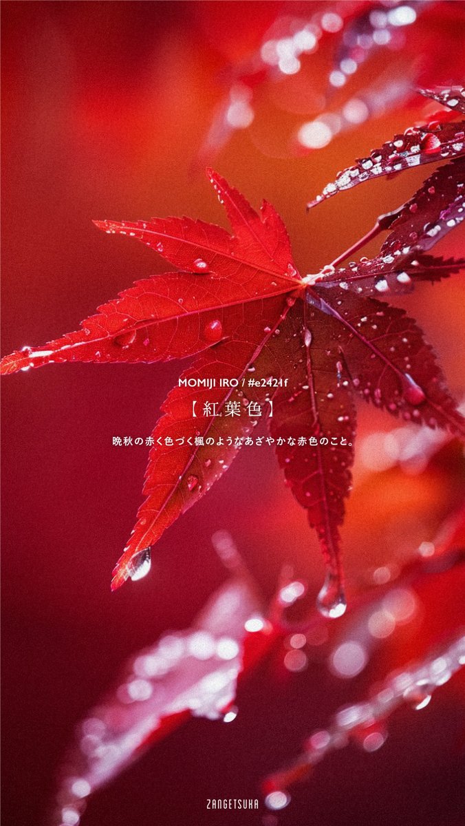 zangetsuka's tweet image. 美しい日本の色 -赤色-

Beautiful Japanese red
#Japanesecolor #beautifulcolor #red