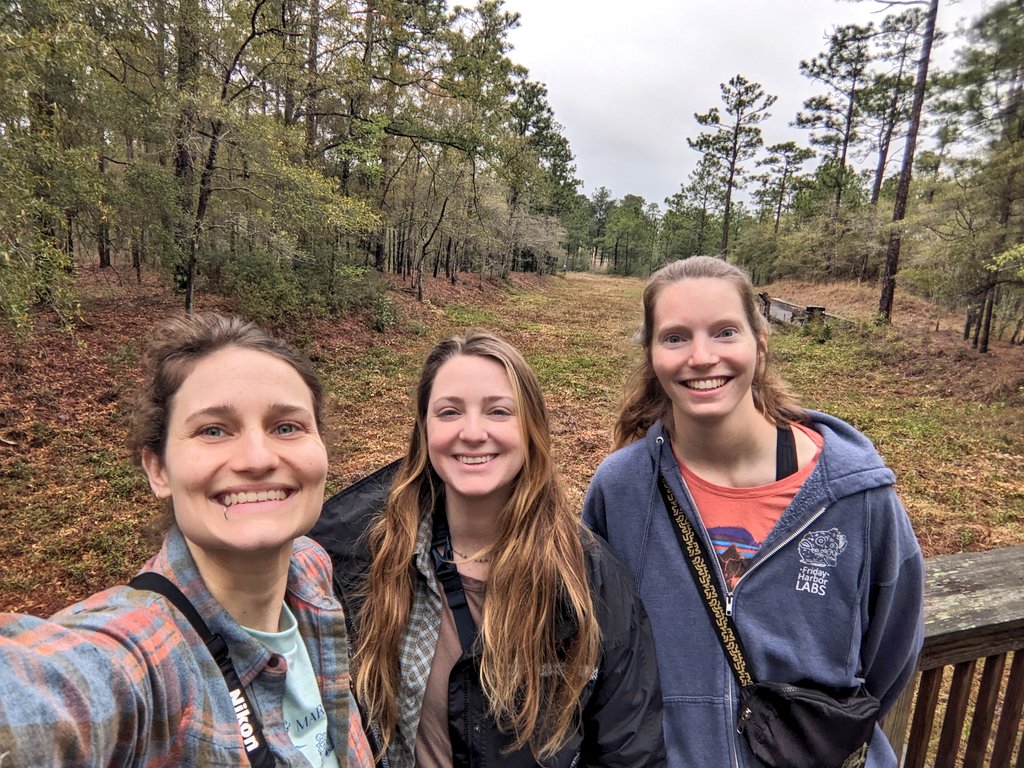 Dr Headbutt 🐏 she/her 🌈💙 tweet media