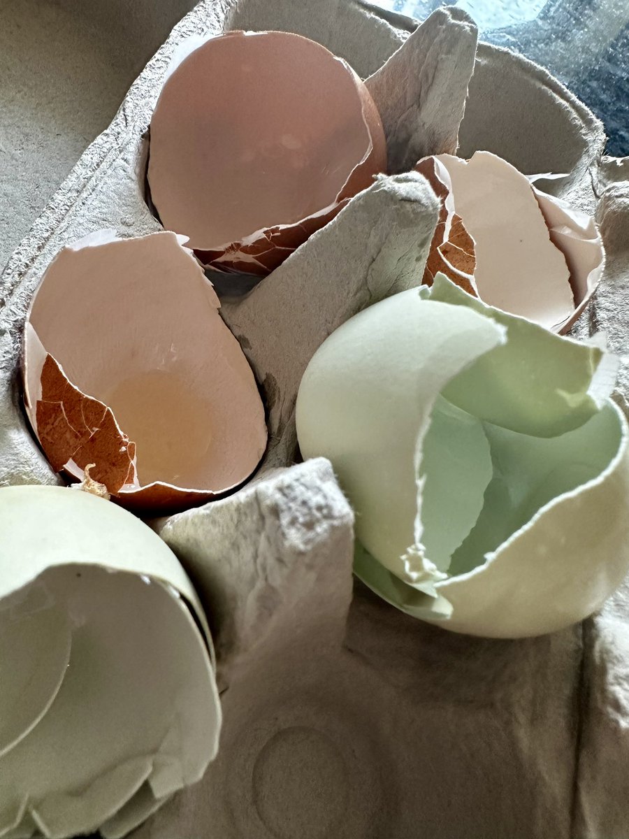 joelriddell's tweet photo. Looks like a trip to the market is in order! W #Pasture42 - #ClementSt #FarmersMarket Sundays - @shopdinesf https://t.co/Fre5fJmHqV