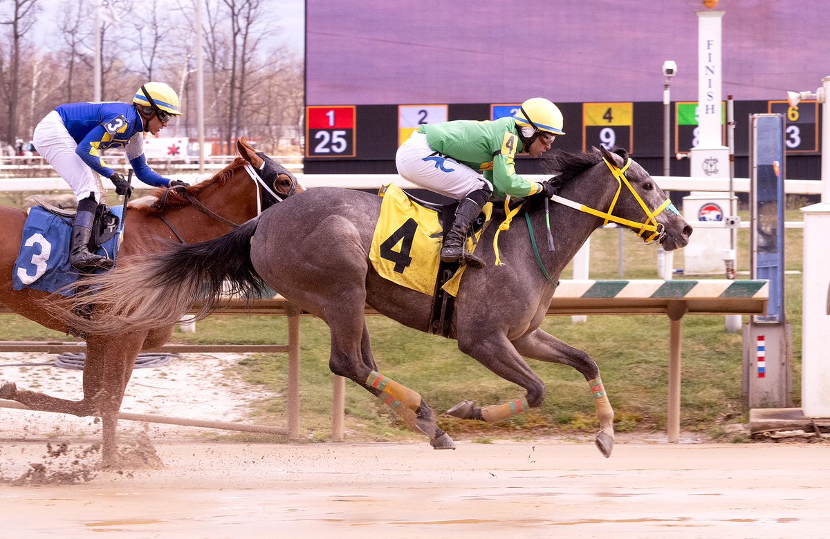 First-time starter Super Simplify rates behind leaders and rallies widest in lane to win 5 1/2F MSW @LaurelPark with @ACruzz01 riding for trainer Carlos Mancilla. 3YO @MarylandTB filly by Bandbox owned by Fred Ray. (Jim McCue 📷)