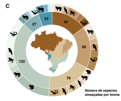 🇧🇷Interessado em fazer Mestrado ou Doutorado em Zoologia, Ecologia, ou Conservação? Vagas com bolsa no Instituto Interdisciplinar de Ecologia e Evolucão (I2E2), onde sou líder, através das seleções da PPG-Zoo e PPG-Eco na <a href="/UFPR/">UFPR</a>. Por favor, compartilhem! Imagem: <a href="/fercaron/">Fernanda S. Caron</a>