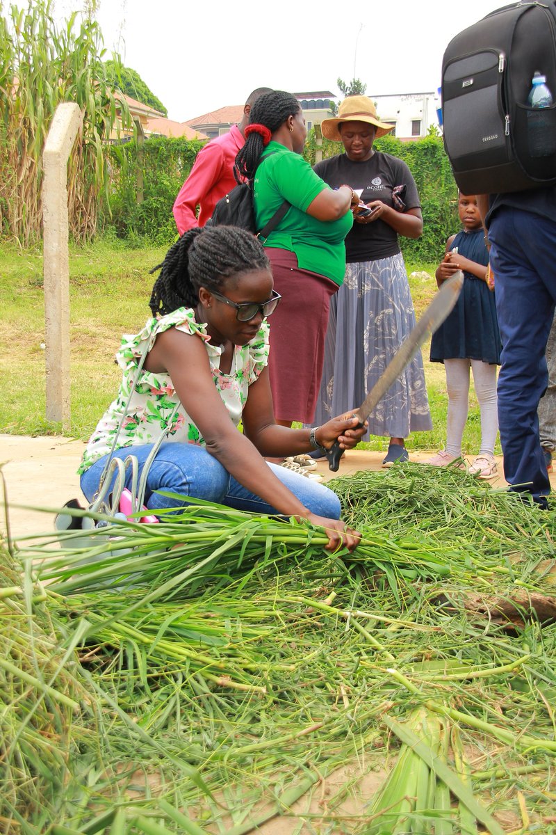 When we say hands-on training, this is what we mean. She took time to learn how to chop cow feed (Grass)