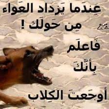 ffaassaass's tweet photo. @ColAleneziRabih 🐶🐶🐶 اقسم بالله انك مسخره وغبي وجعري https://t.co/sSO9pgogOm