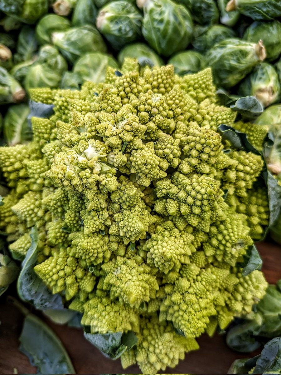 Blessed to live in a place that has such wonderful #FarmersMarkets 

#SantaBarbara