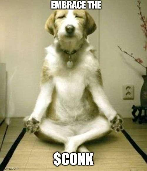 ShibaPoCONK's tweet photo. Happiest of weekends $CONK fam!  Relax and https://t.co/WhQqovT77j