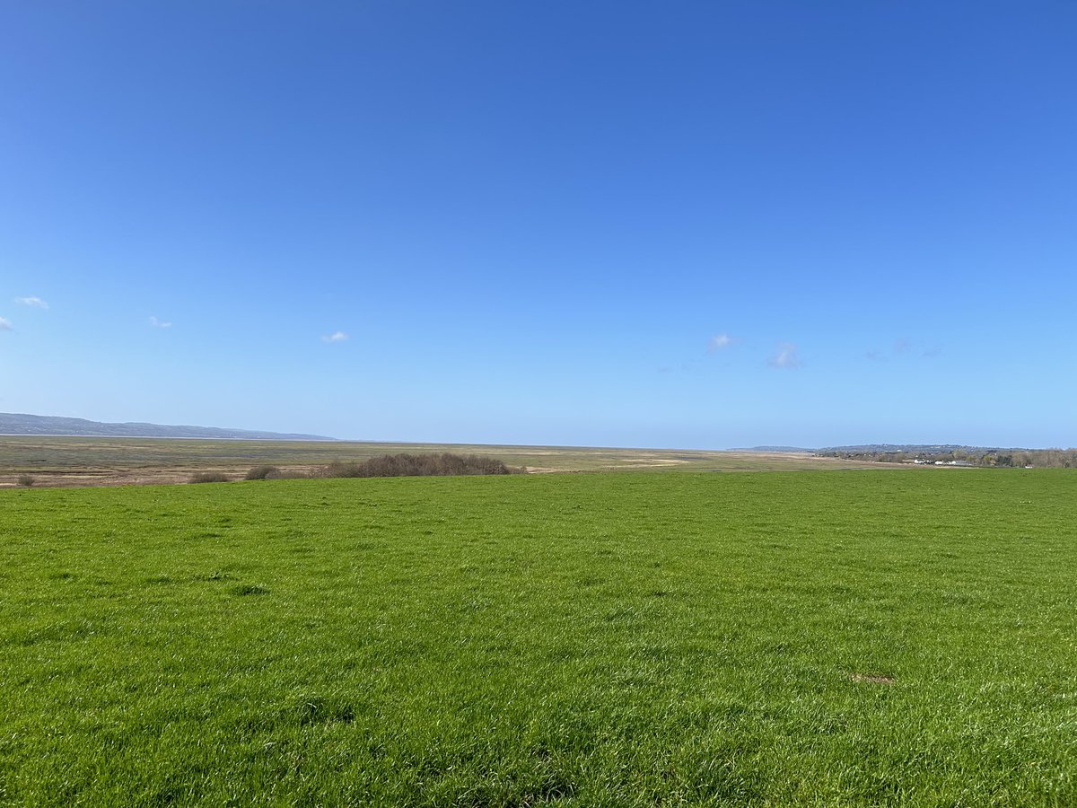 Russofert's tweet image. Stunning day at a stunning place yesterday at @RSPB_BurtonMere somewhere I’ve always wanted to visit.