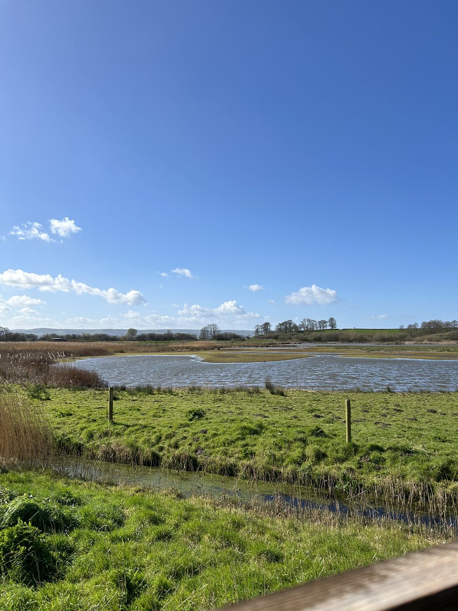 Russofert's tweet image. Stunning day at a stunning place yesterday at @RSPB_BurtonMere somewhere I’ve always wanted to visit.