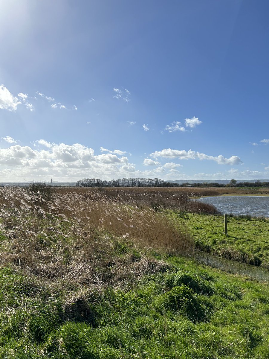 Russofert's tweet image. Stunning day at a stunning place yesterday at @RSPB_BurtonMere somewhere I’ve always wanted to visit.