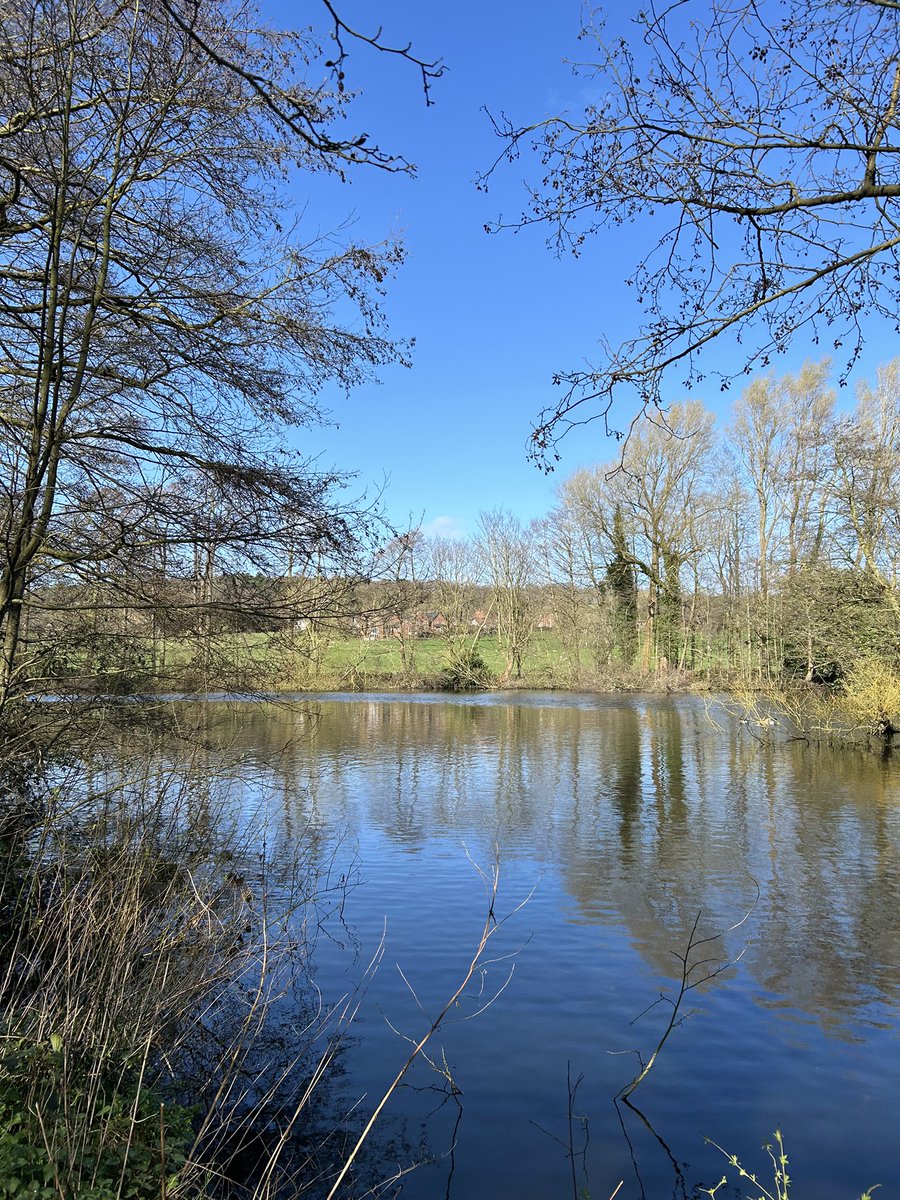 Russofert's tweet image. Stunning day at a stunning place yesterday at @RSPB_BurtonMere somewhere I’ve always wanted to visit.