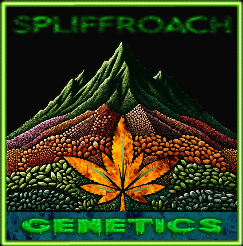 New Logo! 

#newlogo #spliffroachgenetics #design #art #seed #seeds #beans #cannabis #reefer #weed #ganja #pot #dank #dope #cannaart #dopedesign #dankdesign #420life #logo