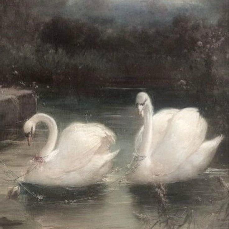 bedcehm's tweet image. all of ariana grande's tattoos  ೄྀ࿐ ˊˎ-
— a thread . . . ☁️