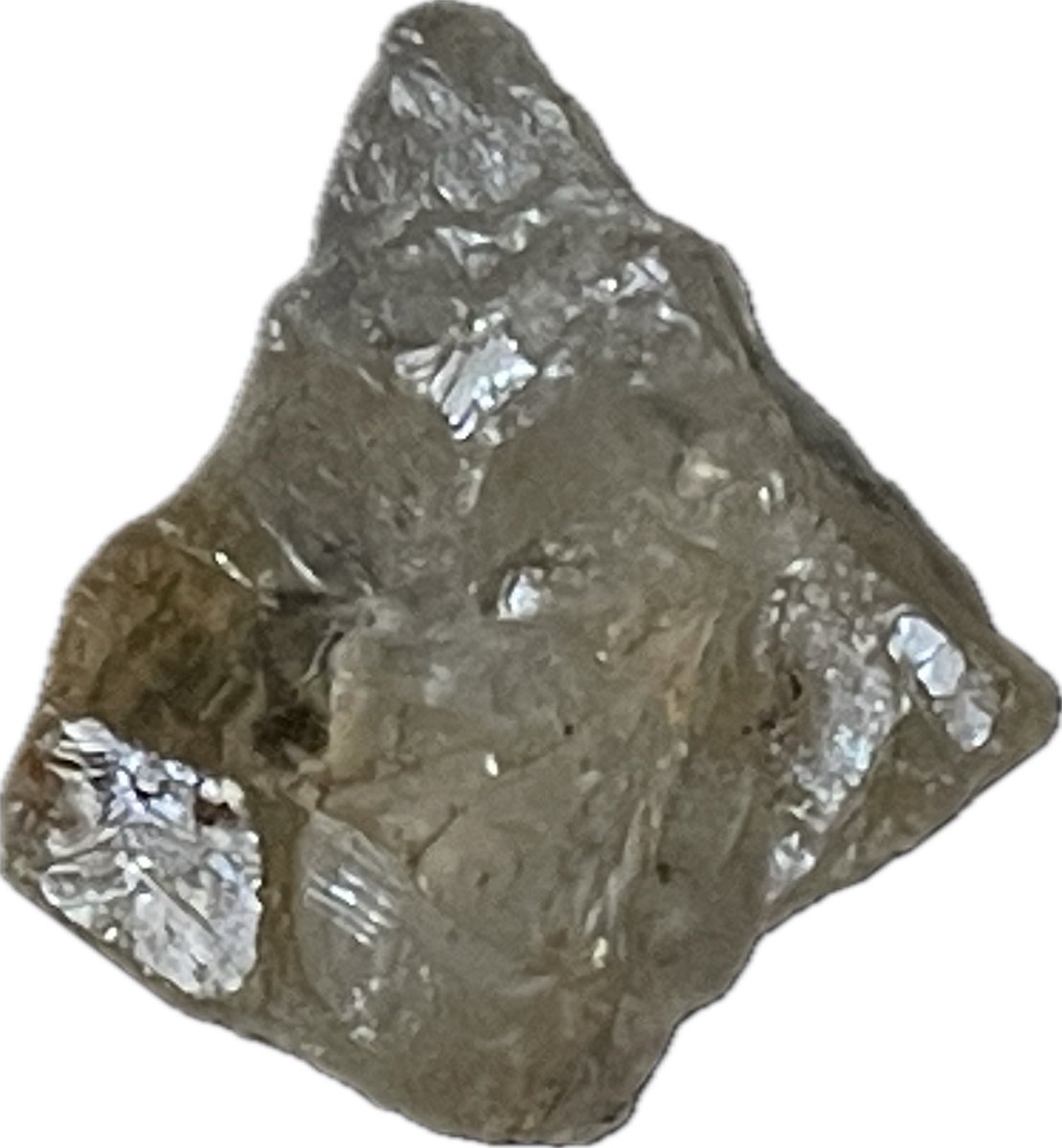 FossilsPossible's tweet photo. @GeologyTime thoughts…? https://t.co/CPqT3dizZu