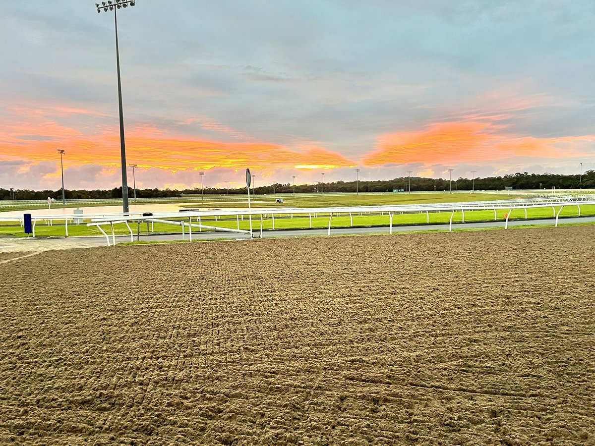 Sunshine Coast Latest track update Weather Overcast Track Synthetic Rainfall 2mm past 24hrs Total of 60mm past 7 days Irrigation Nil past 24hrs and 7 days Rail True the entire circuit