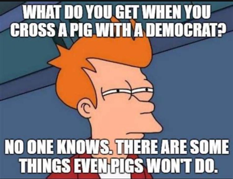 Even pigs are smarter. Am I right??