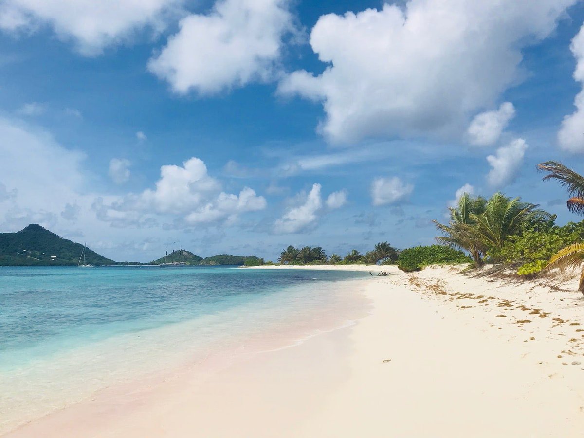 Sandy Island, Carriacou, Grenada #beaches #paradise #isleofspice #theislands