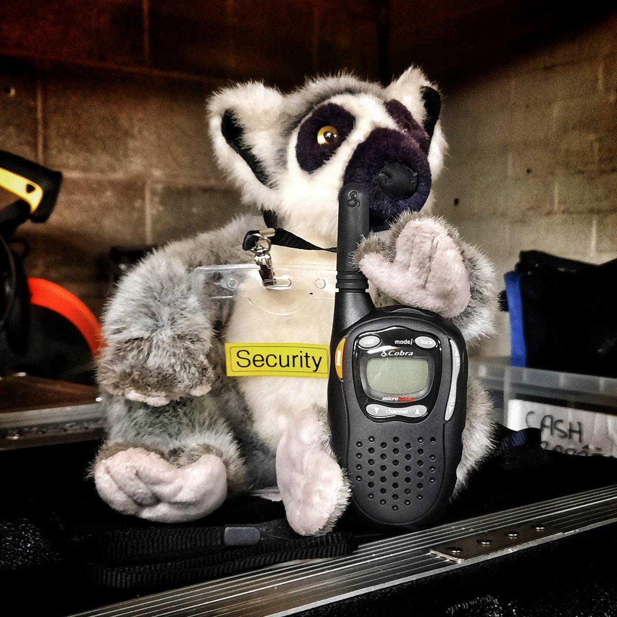 Andy Bolton Productions tweet media