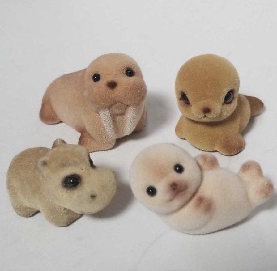 biggersocks's tweet image. my circles small but we’re all adorable