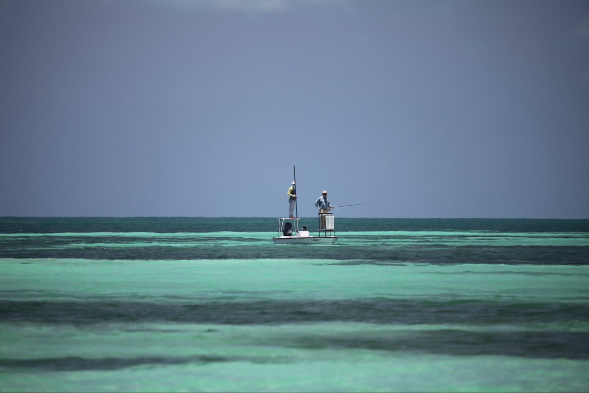 There’s no good reason to expand the Pier B cruiseport without an environmental impact assessment.

Someone has to step up and lead. 

The Cabinet, respectfully, should deny this request to expand the cruiseport lease. 

<a href="/WiltonSimpson/">Wilton Simpson</a> <a href="/JimmyPatronis/">Jimmy Patronis</a> help us protect what’s left.