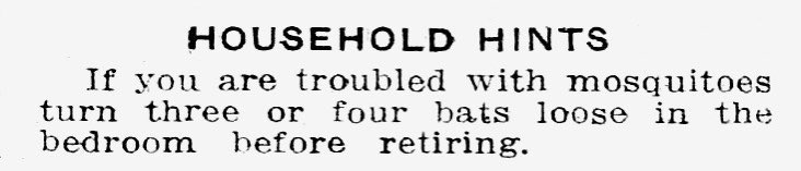 here’s a helpful spring cleaning tip 🦇🦇🦇 The Tampa Tribune, Florida, July 25, 1913