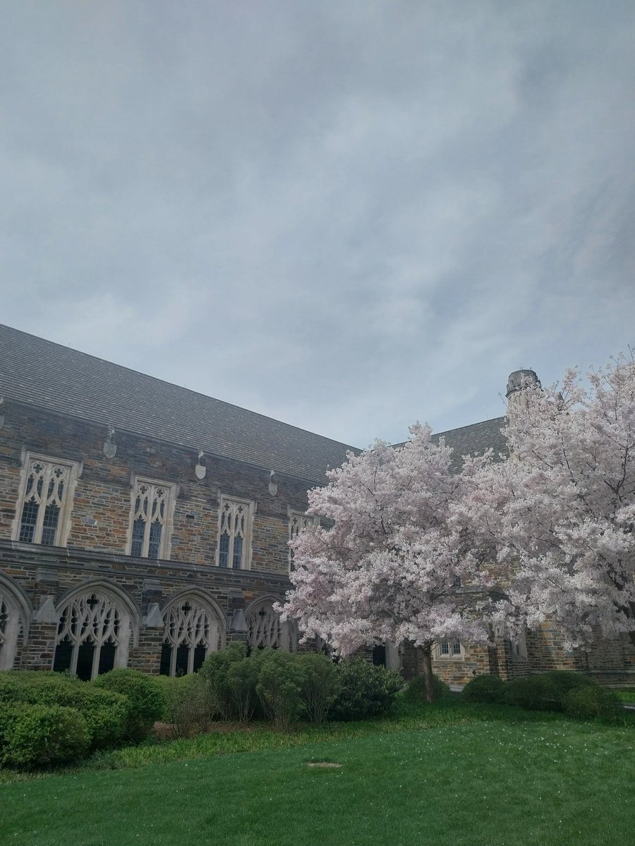 Casually getting to see Grace Hong, Jasbir Puar, Julie Livingston & Kevin Quashie at Duke Uni's Feminist Theory Workshop this week (we're having the best time @tayfollett ) #FTW2024