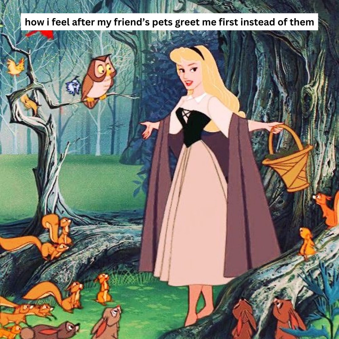 HCMontclair's tweet image. A betrayal to my friends but a win for me😌🫶
#HerCampus #hercampusmontclair #sleepingbeauty #disney