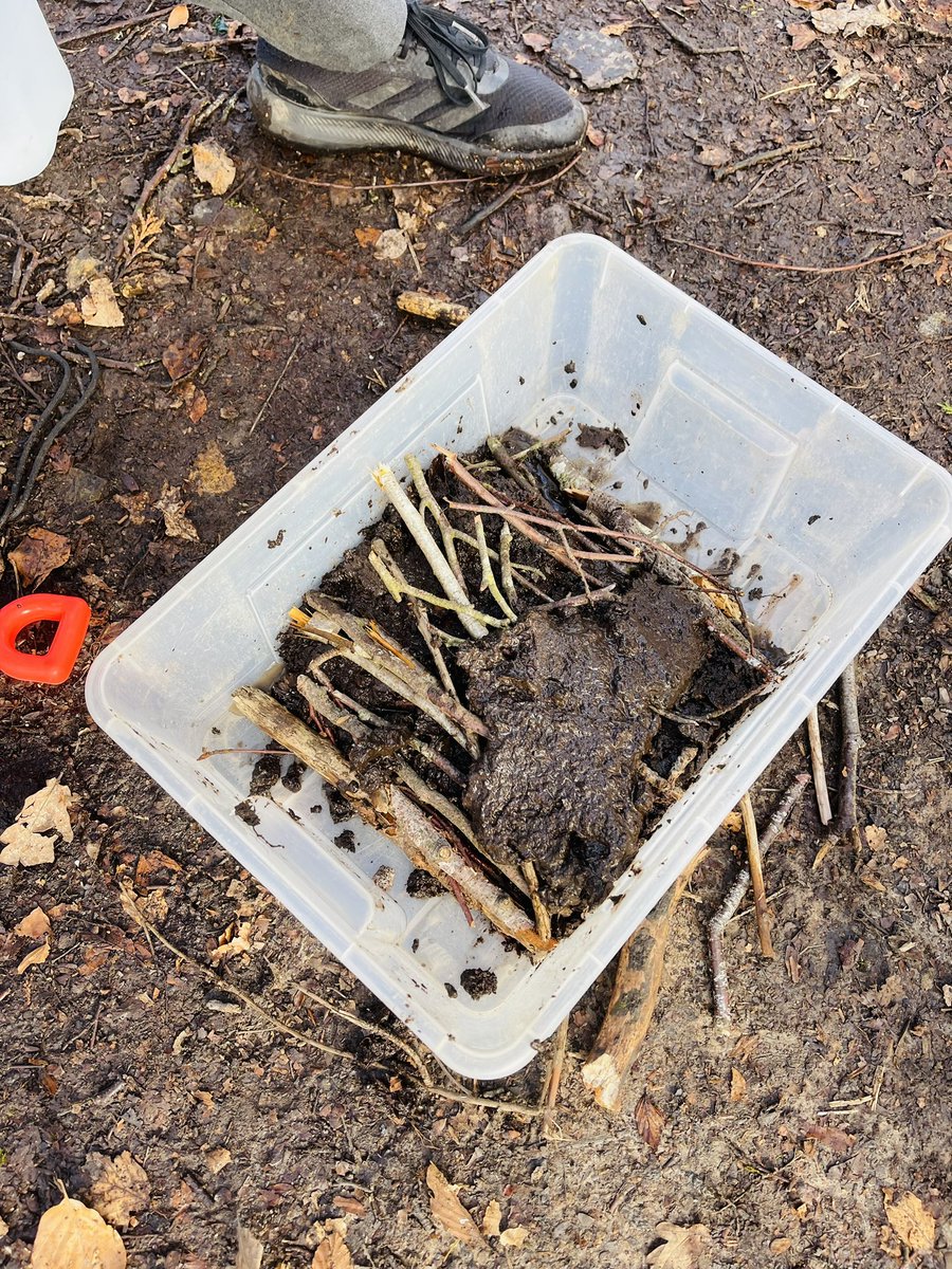 Great running our “Busy Beavers” 🦫 workshop with the ace P7 learners @Cuiken_Primary . We learnt how #beavers have been #reintroduced to #Scotland The learners made mini dams which we tested to see how long they could hold water back for! #STEM #outdoorlearning #rewilding