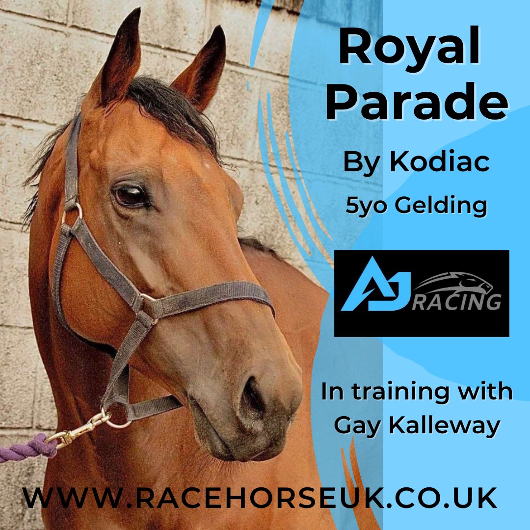👉Lease shares are now available for Royal Parade, trained by @gaykelleway and owned by @AJRACINGCLUB1. Exciting times lay ahead for this son of Kodiac as he progresses with his racing career. 🏇🏻 💥 Visit racehorseuk.co.uk/horse-detail/?… #horseracing #racingsyndicate #racehorse